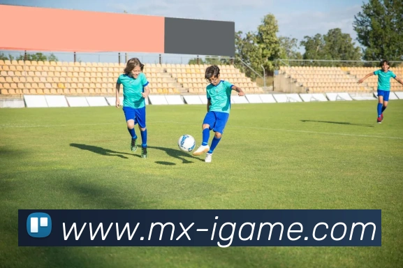 爱游戏中心服务体系